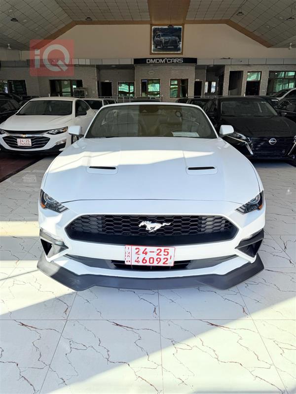 فۆرد مۆستانگ 2023  بۆ فرۆشتن لە عێراق - زاخۆ